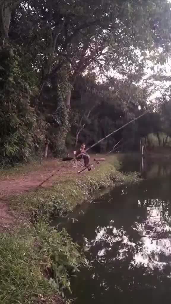 cover for fishing #ThePawfectMoment#CaughtOnCamera
