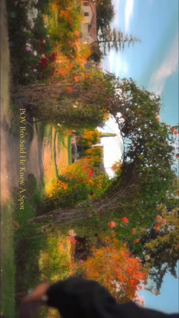 cover for This is my dreamcore moment at the Rose Garden in San Jose, CA ✨🌹 #dreamcore #dreamcoreaesthetic #sunset #rosegarden #sanjose