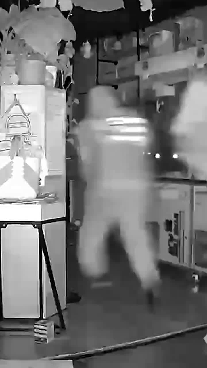 cover for A group of masked burglars stole an estimated $30,000 worth of high-demand Labubu dolls during a smash-and-grab break-in. 