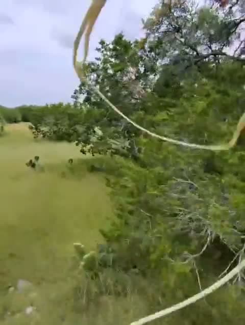 cover for Epic rope catch while riding horseback! 🐎🐄 #CowboySkills #HorsebackRiding #WildWest
