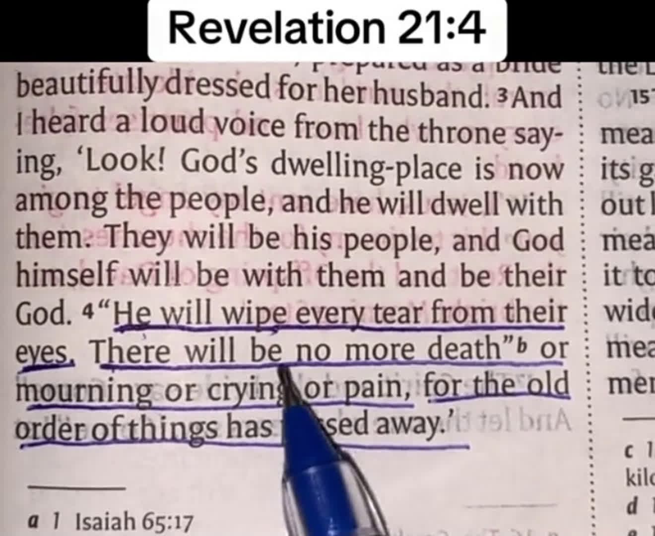 cover for #dailyscriptures 