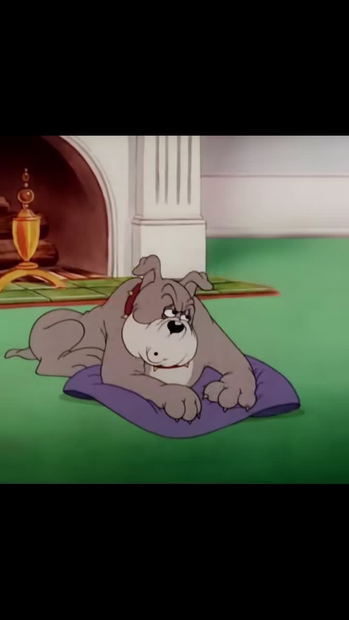 cover for #cartoon #tomandjerry #tomandjerry 