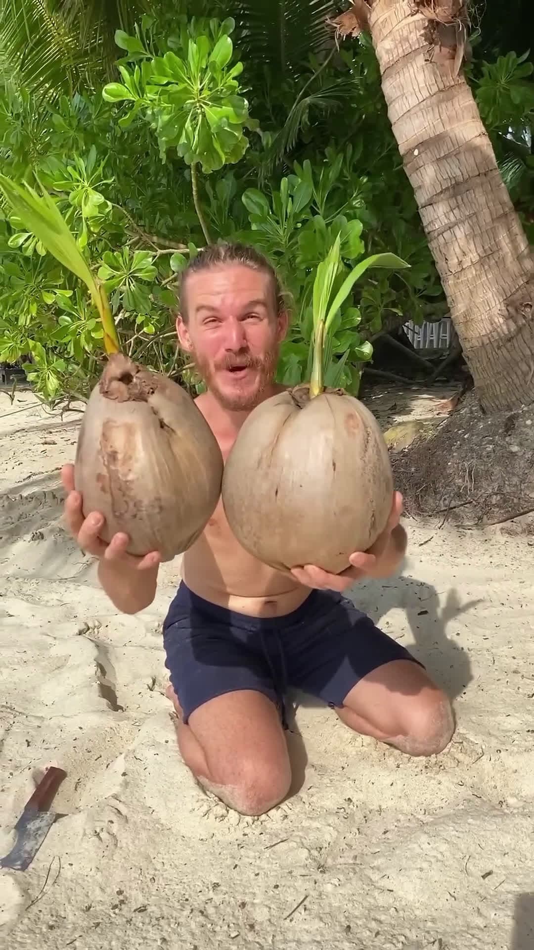 cover for Incredible Fruit Discovery