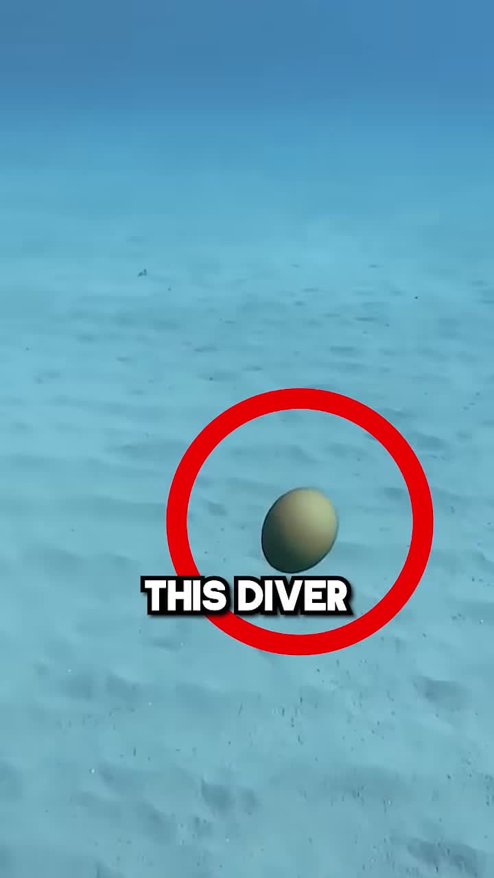 cover for This Diver Tried an INCREDIBLE Experience outdoorseeker