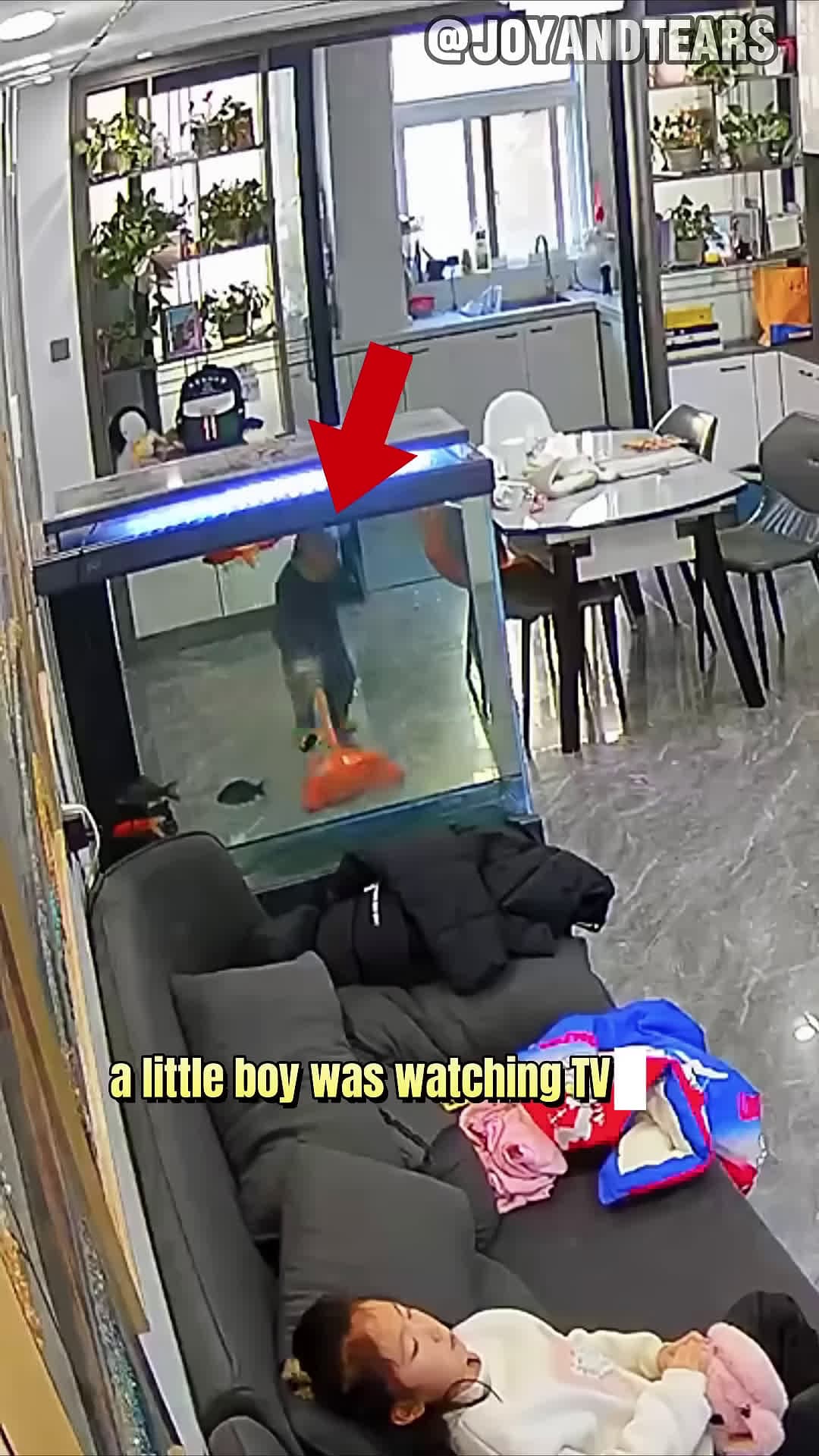 cover for The boy smashed the TV funny baby shorts love
