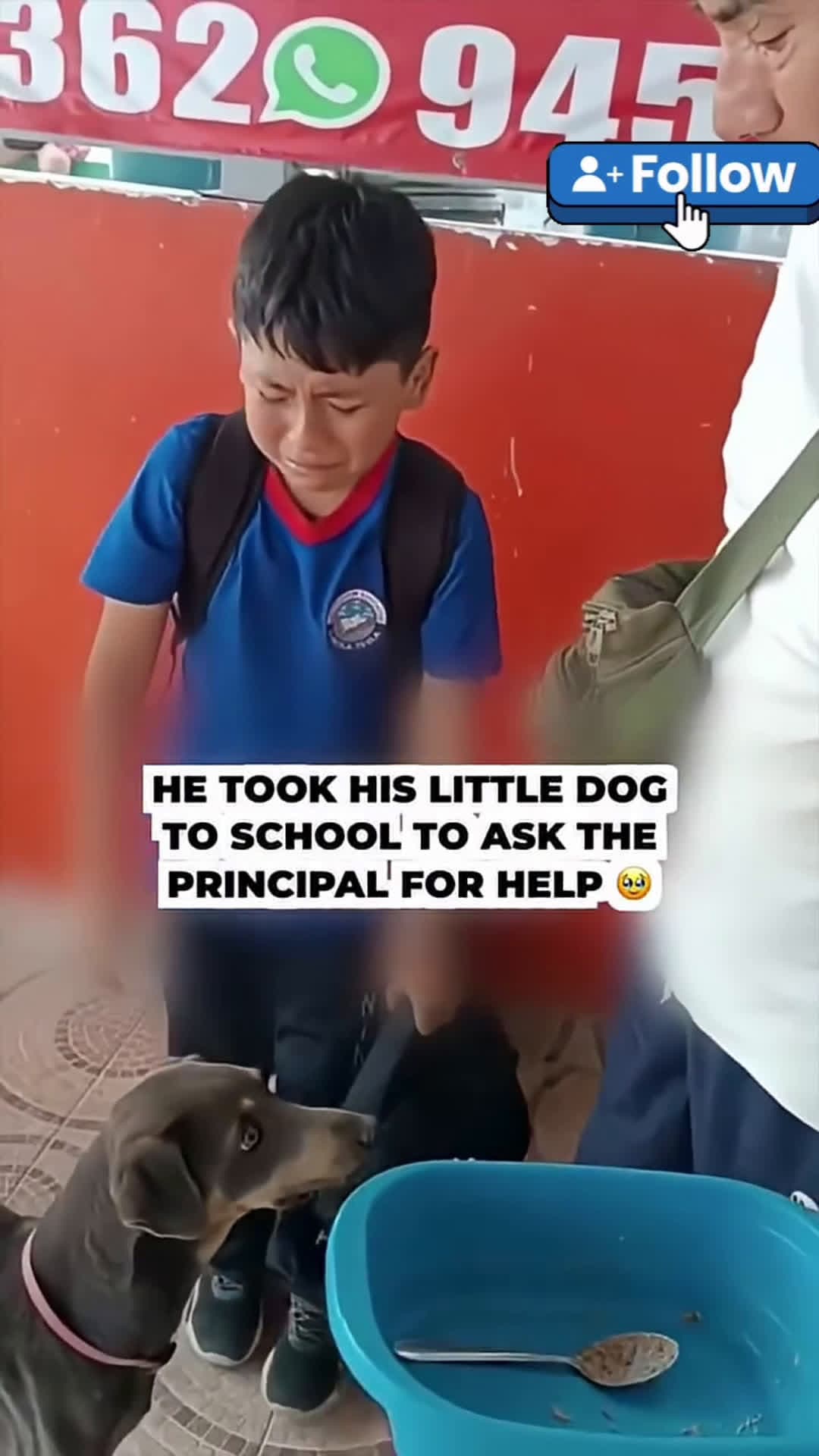 cover for He took his little dog to school so the principal could help🥹🥹