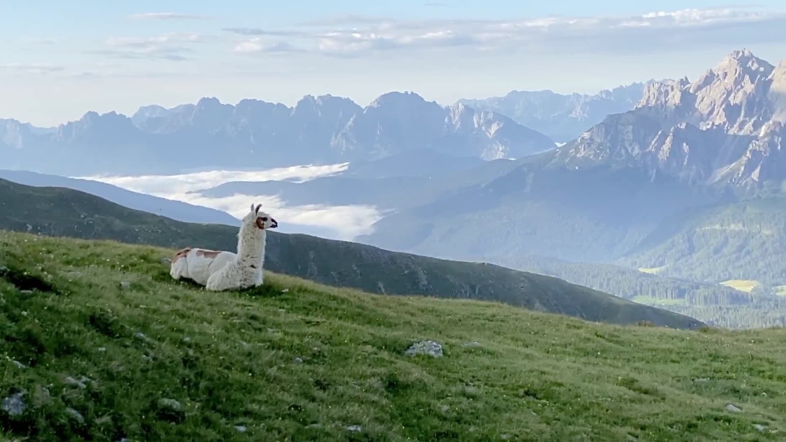 cover for Breathtaking views from the Austrian-Italian border trail 🌄 #TravelGoals #Alps #HikingAdventure