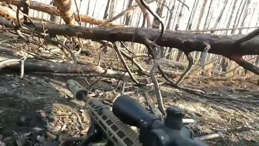 cover for Under Fire: Intense Battle in the Serebryansky Forest 🌲⚔️ #Ukraine #InternationalLegion #Battlefront