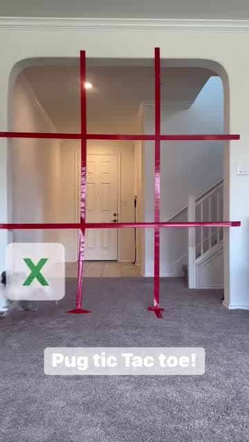cover for Pug tic Tac toe