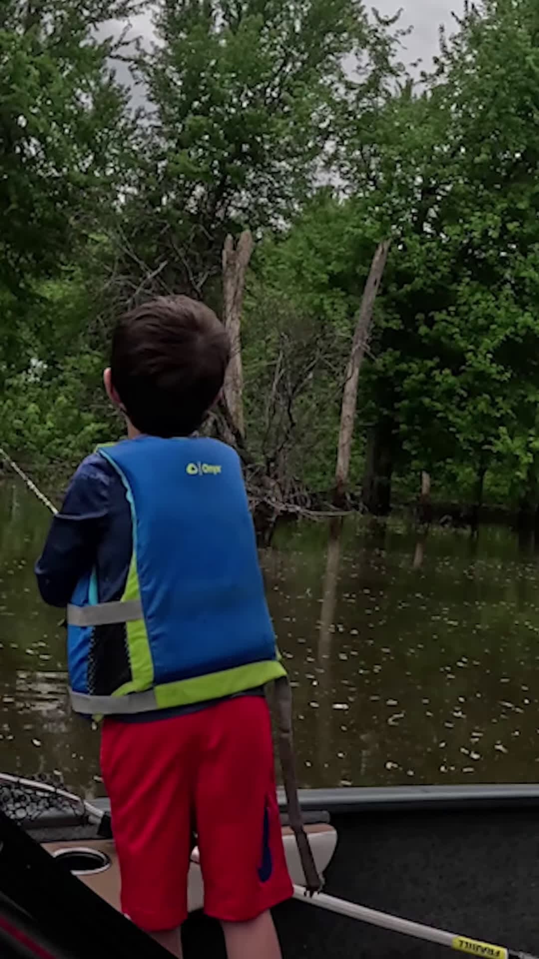 cover for CARSEN lands a BIG BASS under TREE bass bassfishing fish outdoors fyp alwaysberecording