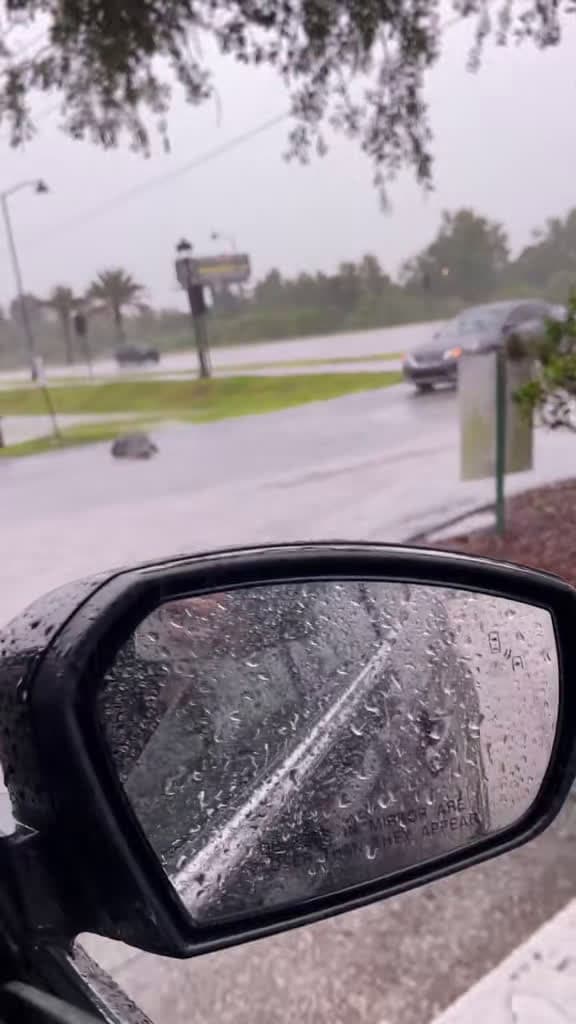 cover for Only in Florida: you never know when you’ll run into an alligator! 🐊 #OnlyInFlorida #Alligator #FloridaLife
