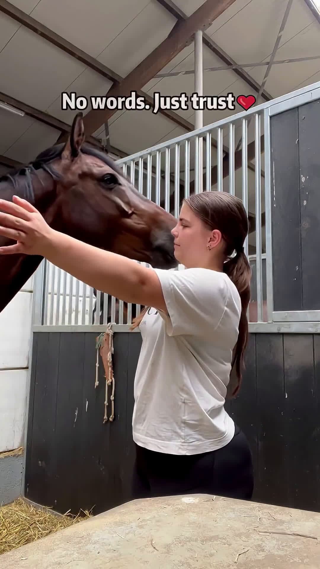 cover for A gentleman in a horse’s body.🐎🥹 #scoopzanimalvideo 