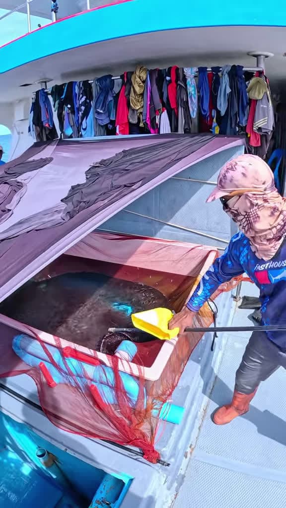 cover for Epic tuna strike — hit like a freight train! 😱 #Fishing #FishermanLife #ForYou