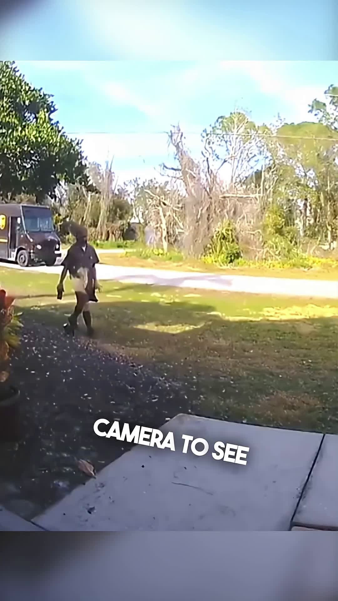 cover for The doorbell camera caught this delivery driver 😱