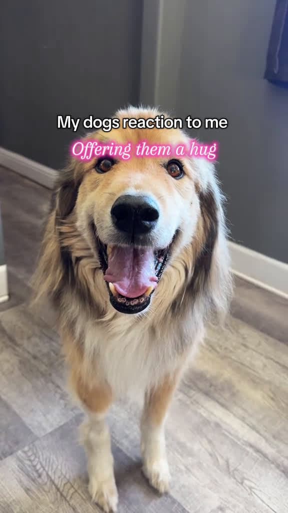 cover for Rescue Dogs' Heartwarming Reactions to Hugs