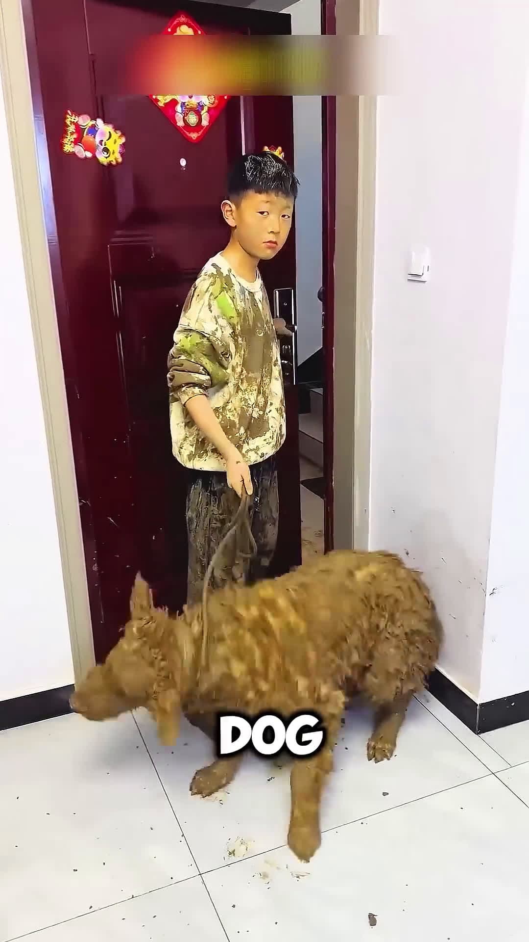 cover for A Boy Rescued a Dog from the Trash