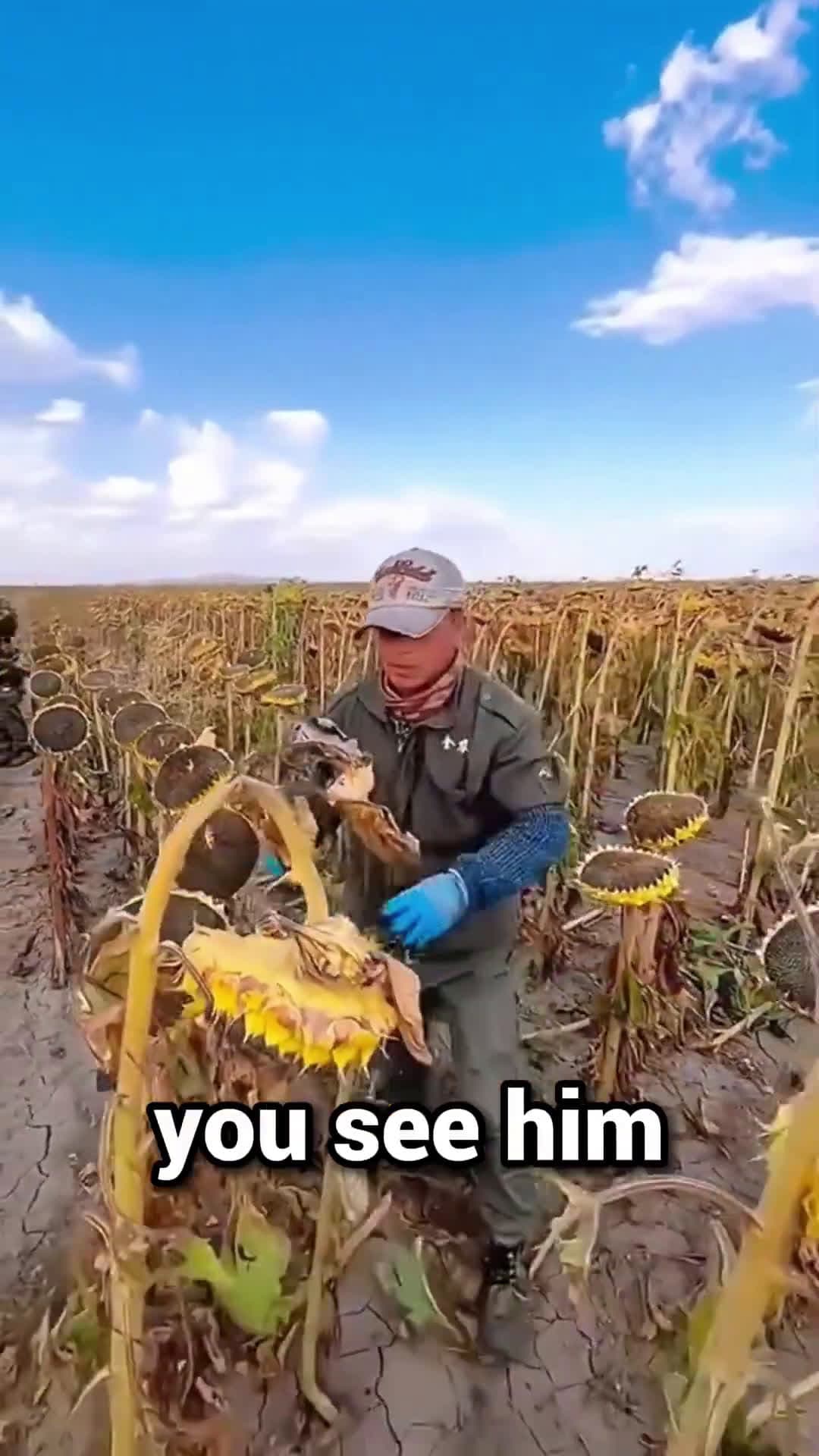 cover for This Man has The Best Work