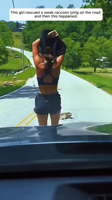 cover for This girl rescued a weak raccoon lying on the road and then this happened