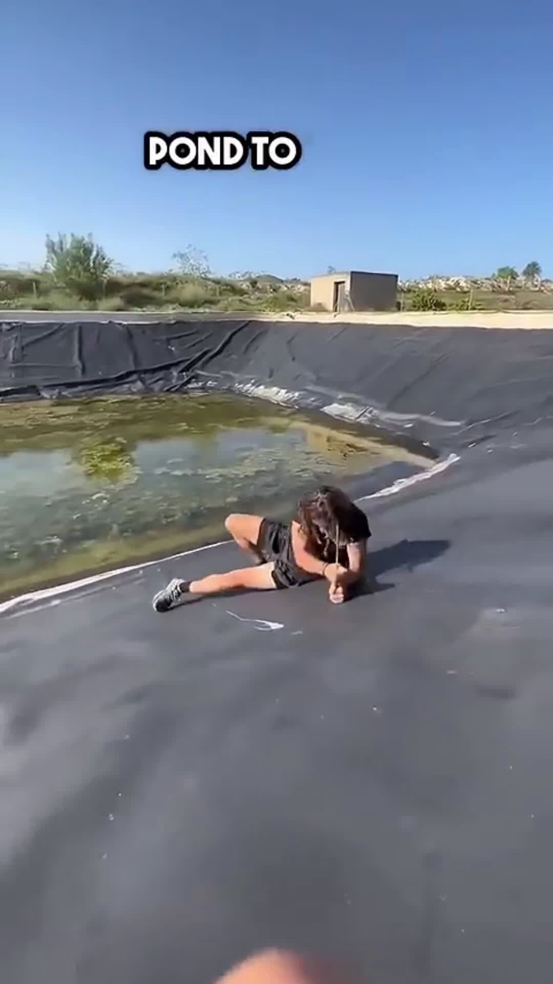 cover for The snake went out into the drinking water 😮