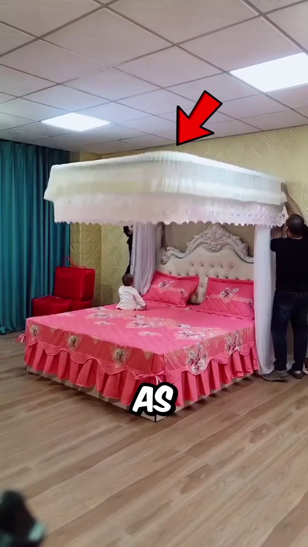 cover for The Incredible Chinese AntiMosquito Bed shorts
