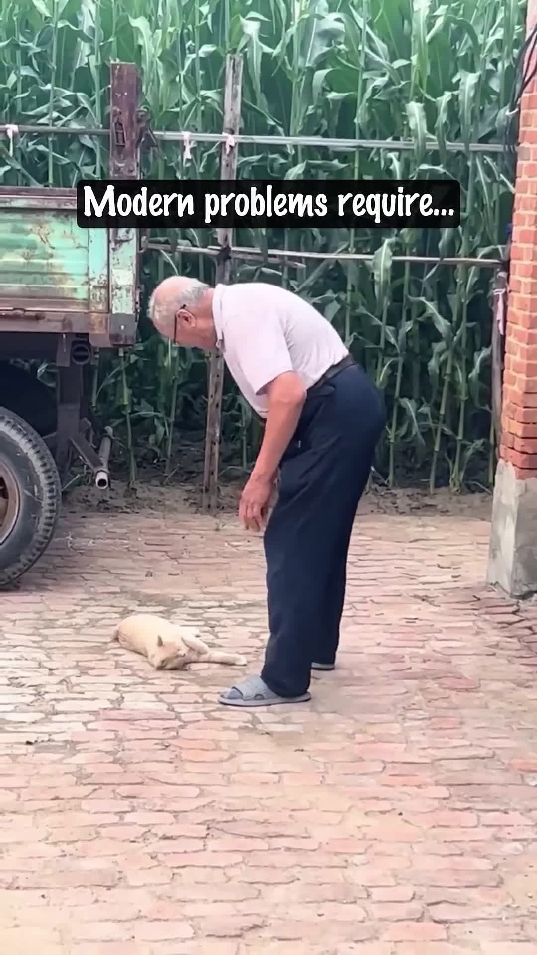 cover for Only Grandpa Could Handle This Orange Chaos😂🧡