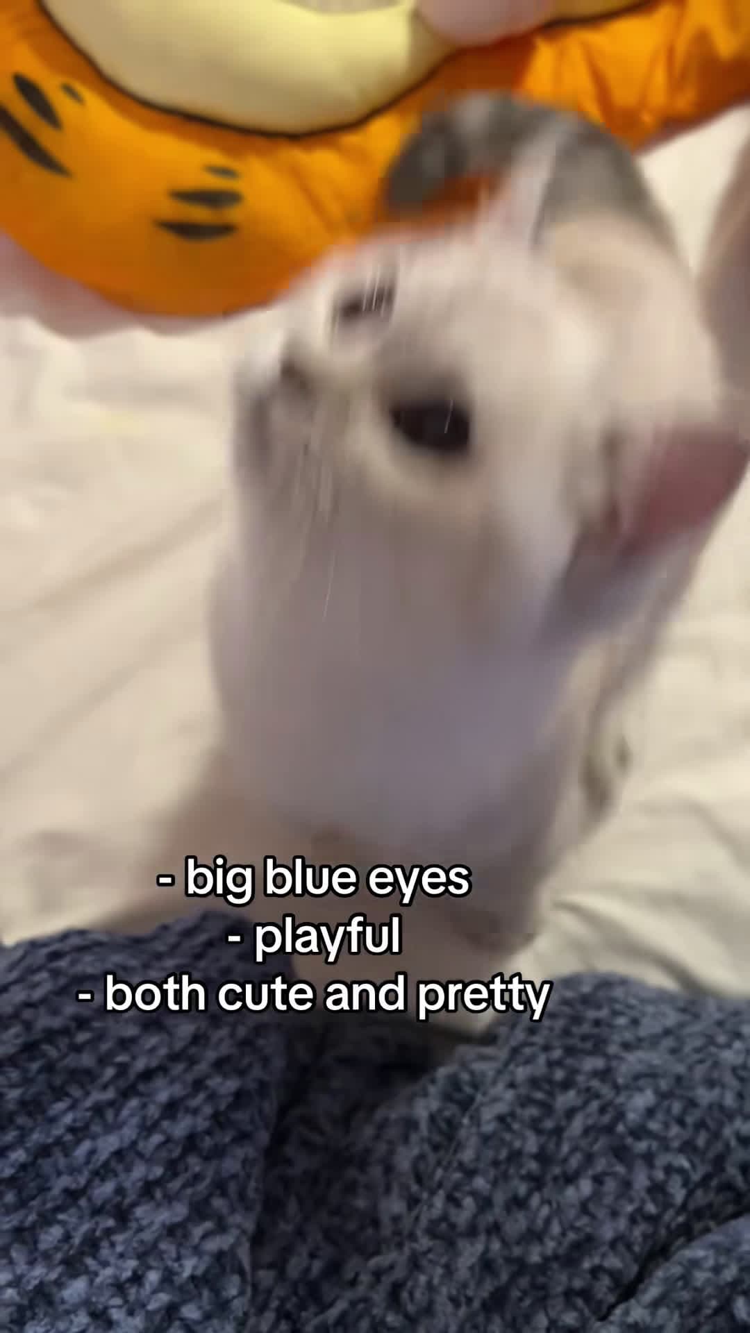 cover for goob looks so over it in the second clip 😭 #fyppppppppppppppppppppppp...