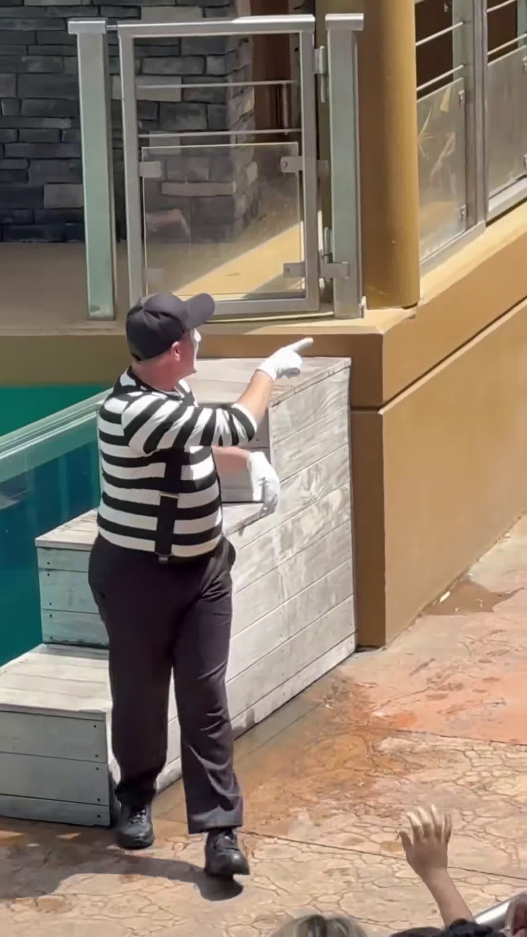 cover for #FirstVideoChallenge revealed the truth #funny #seaworldmime #funny #tomthemime 