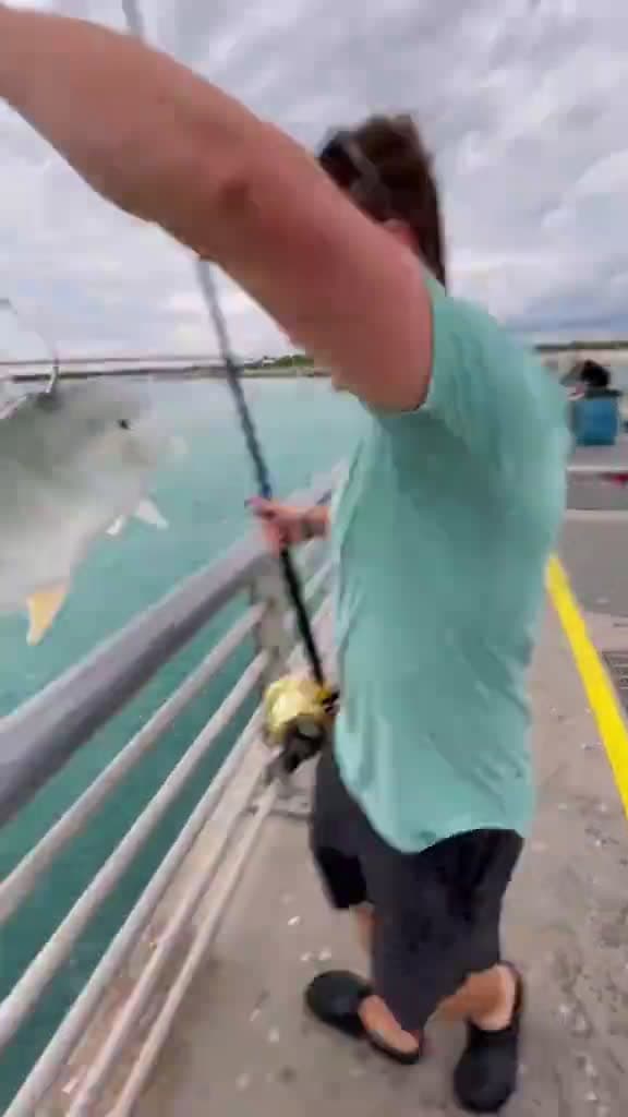 cover for Unbelievable catch that will blow your mind! 🐠 #Fishing #EpicCatch #Angling