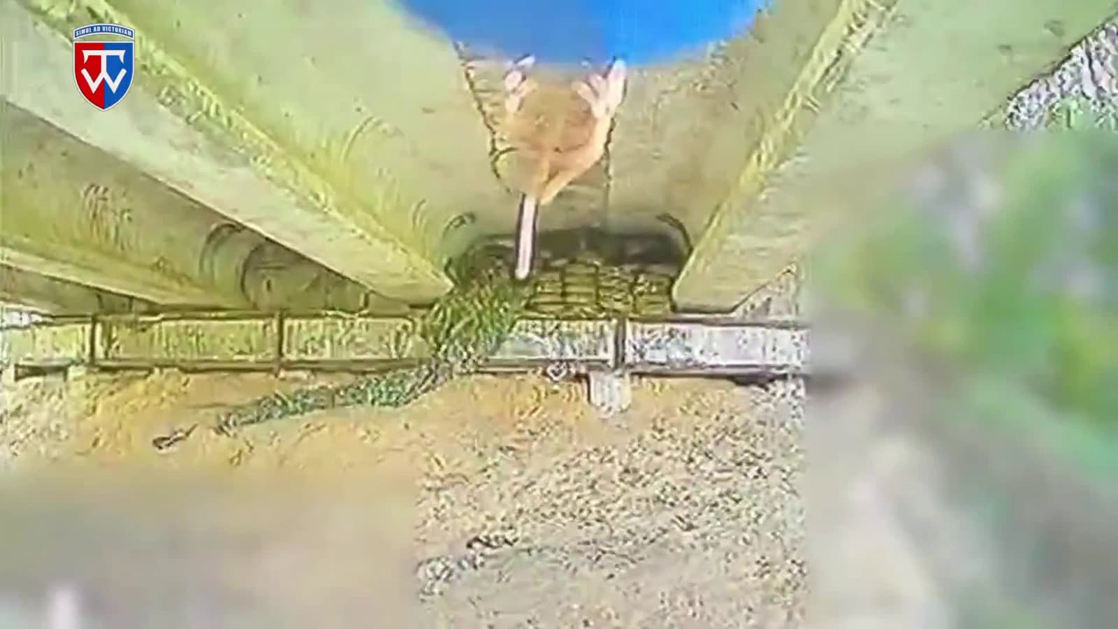 cover for Ukrainian FPV drone from the 58th brigade destroys Russian bridge loaded with mines 🚁💥 #Ukraine #FPVDrone #MilitaryTech #58thBrigade