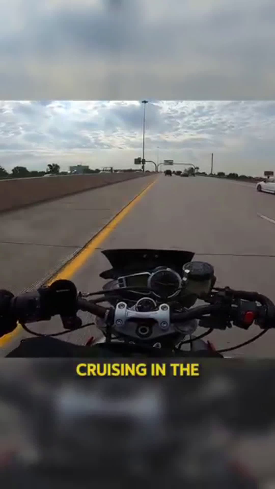 cover for Biker Reacts Perfectly