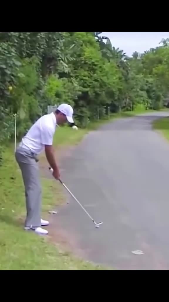 cover for Witness the most amazing golf shot ever! ⛳ #GolfGoals #EpicShot #ViralMoment