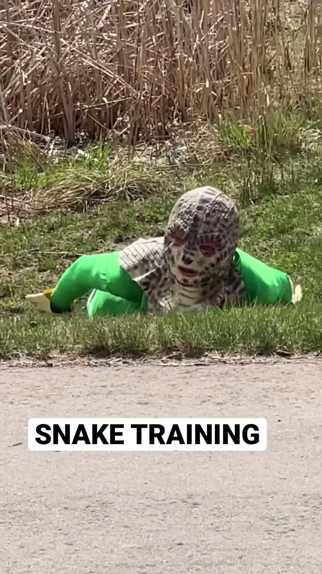 cover for SNAKE TRAINING GONE WRONG shorts