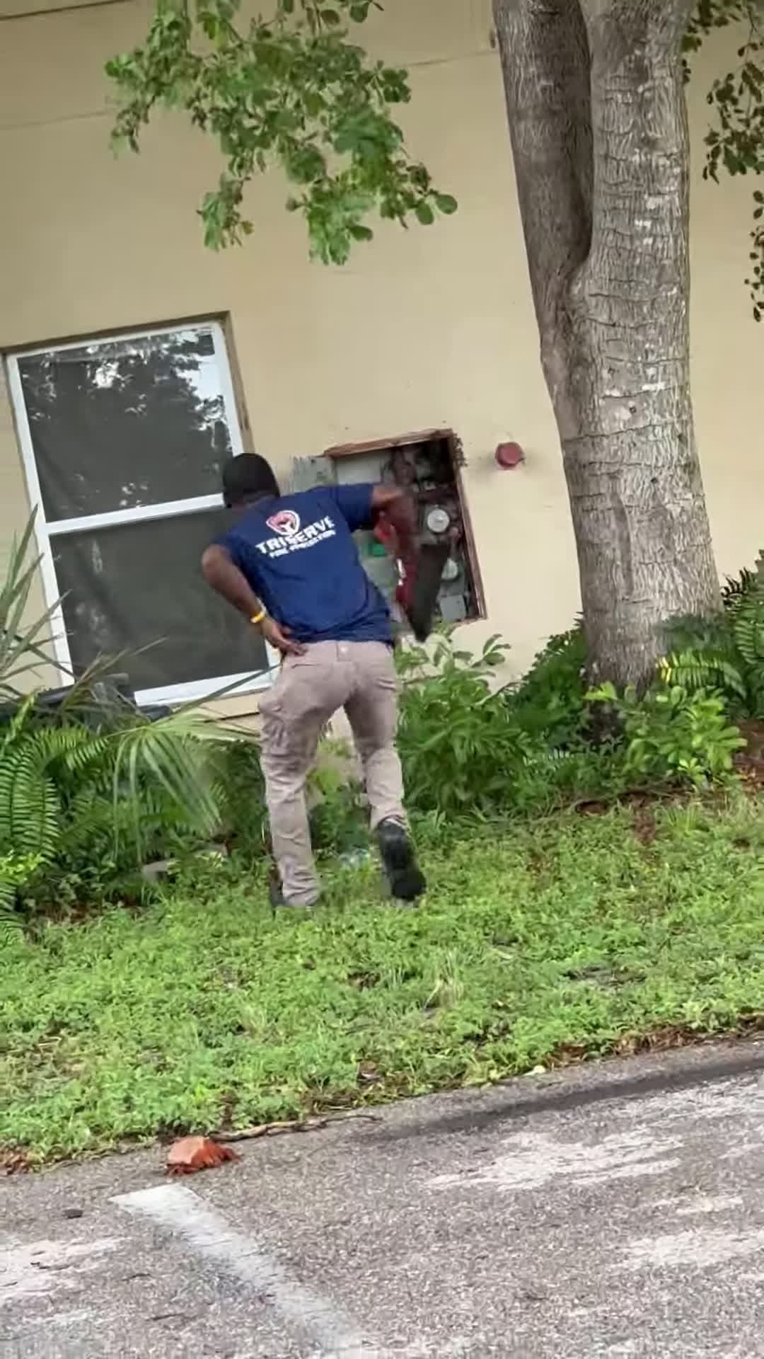 cover for #FirstVideoChallenge Lighthearted Man Runs after Getting Stung While Removing Bee Nest.