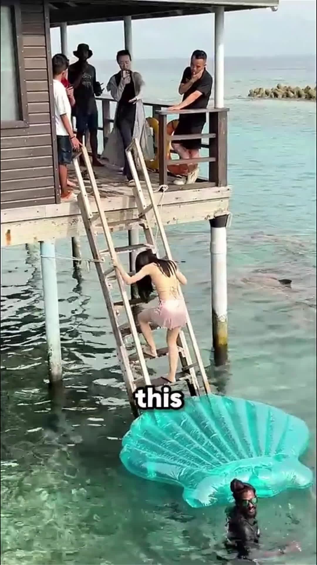 cover for This girl took a photo in the water with dozens of whales while sitting on a plastic boat ❤️🥹#whale #animals 