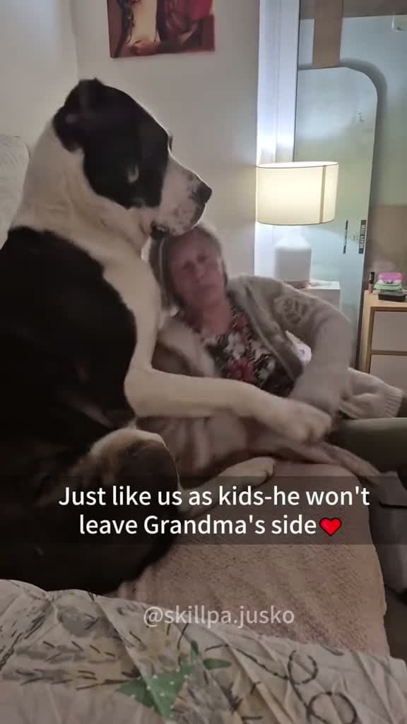 cover for Just like us as kids he wont leave Grandmas#scoopz#fyp