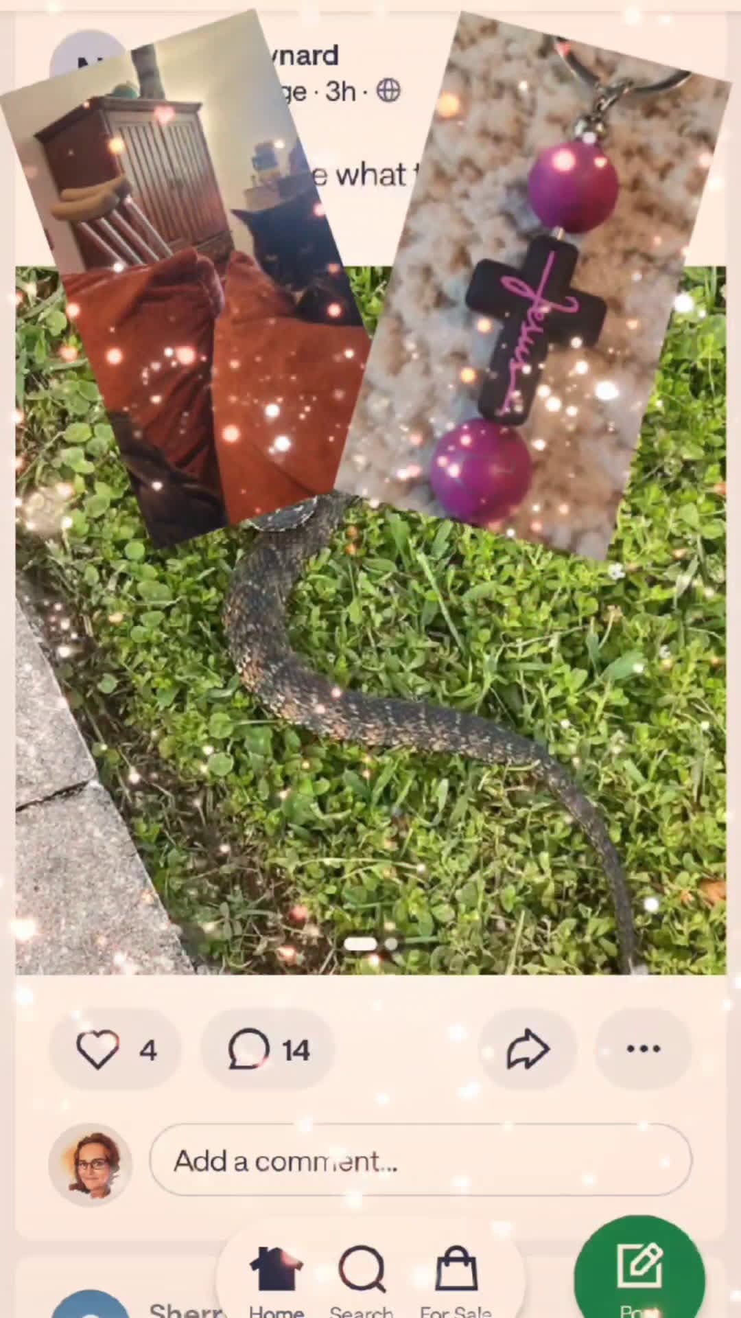 cover for #family #reptiles #florida #melbourneflorida #fyp 