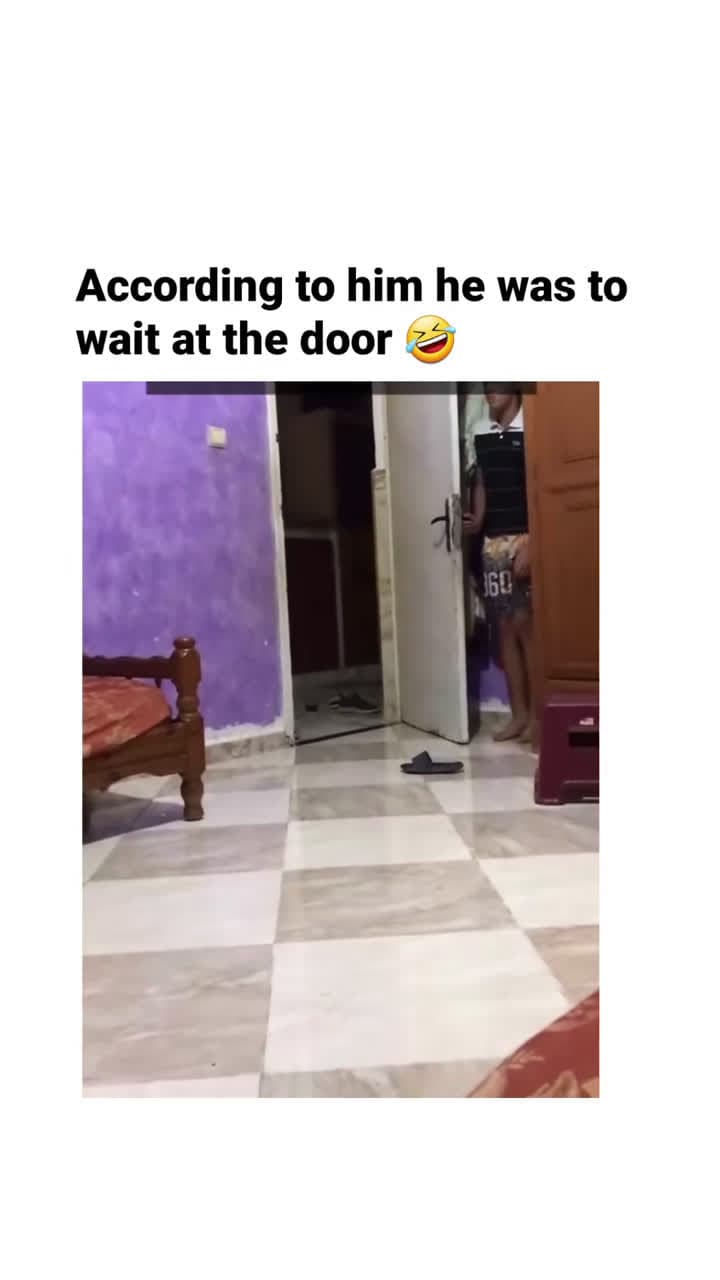 cover for The End 🤣🤣 #funny #funnyvideos #animals #dog #cat #pet #viarl #foryou #fyp (476)
