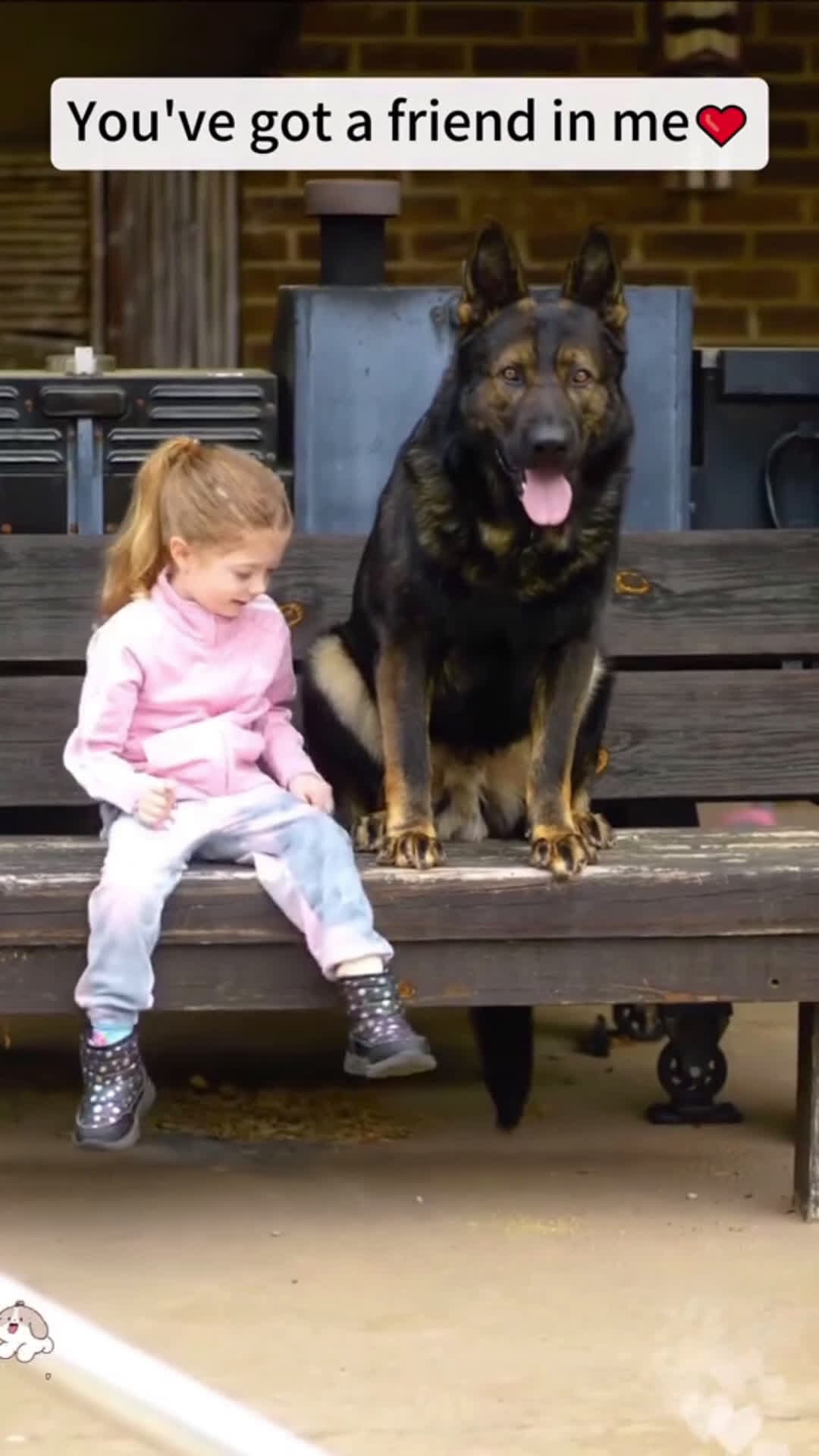 cover for Best friend #fyp #pet #baby #dog  #scoopzreels 