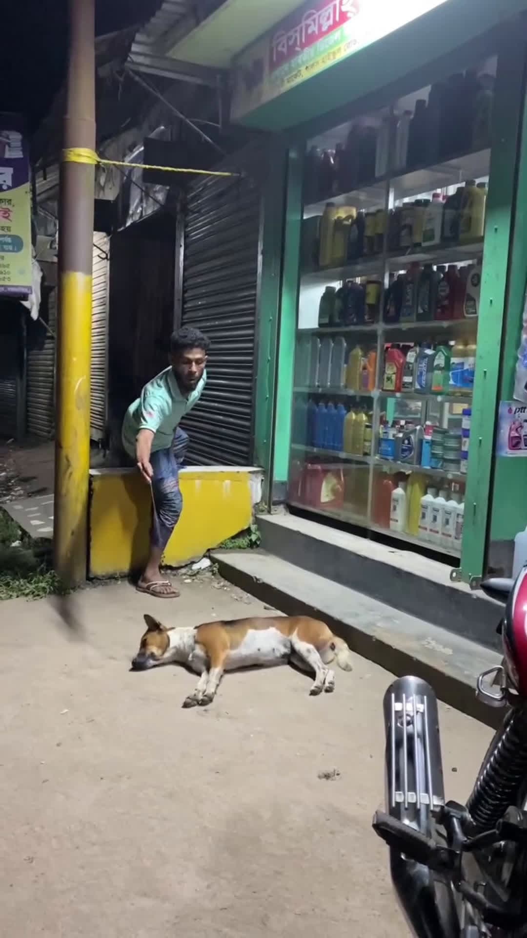 cover for The Animal was confused 🤔he didn't know what to do 