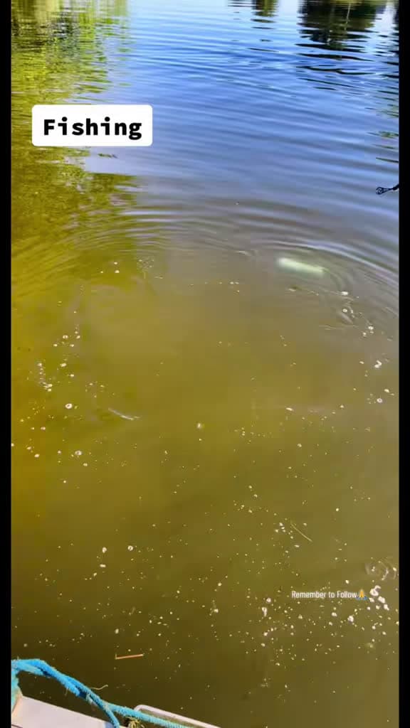 cover for Caught something terrifying while fishing... Watch till the end! 😱 #FishingHorror #MysteryCatch #TrueStory
