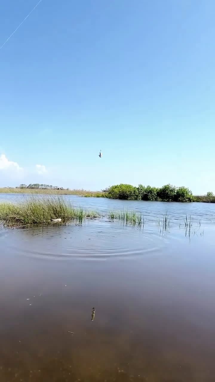 cover for #fishingstories #florida #powerlines # fishing 