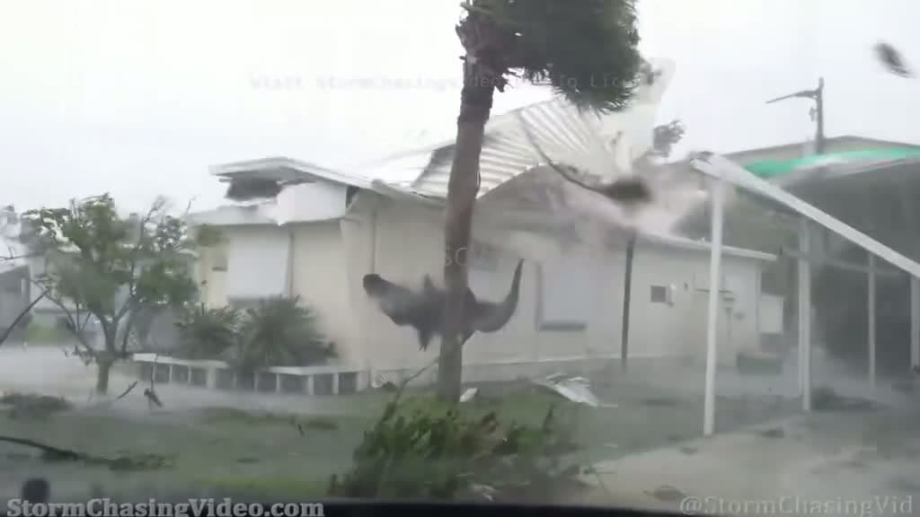 cover for Watch extreme debris-filled winds roar through Placida, Florida! 🌪️ #storm #windy #placida #earthvideo
