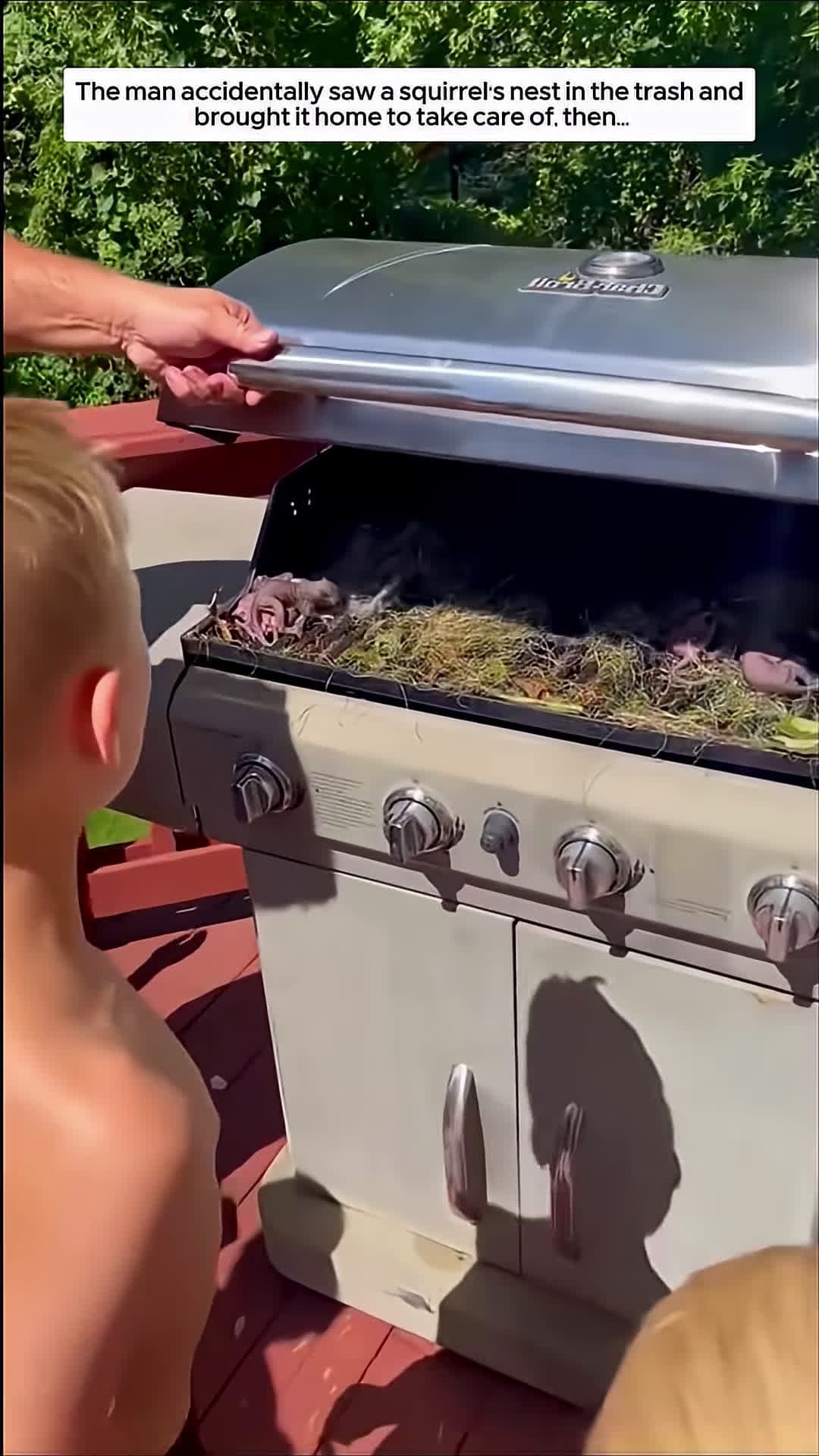 cover for The man accidentally saw a squirrel nest in the trash and brought it home to take care of