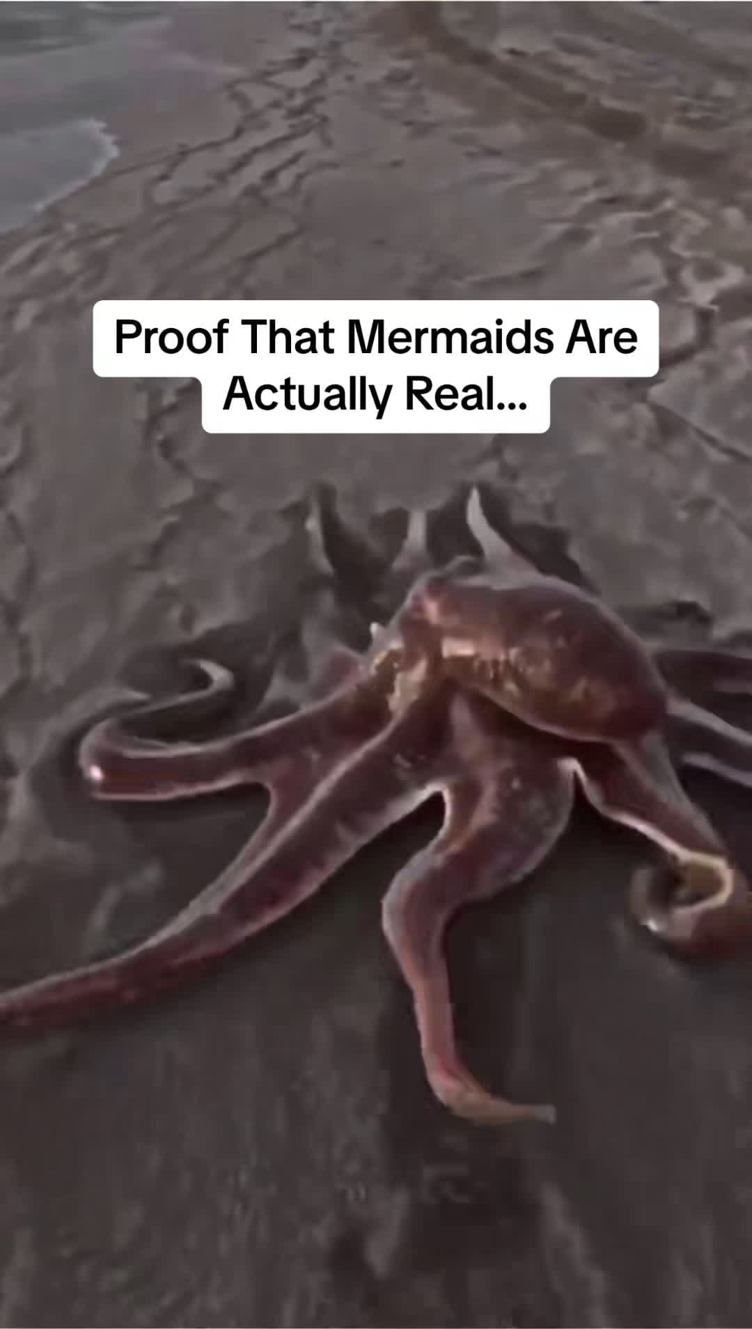 cover for #UnpopularOpinion Proof That Mermaids Are Actually Real…