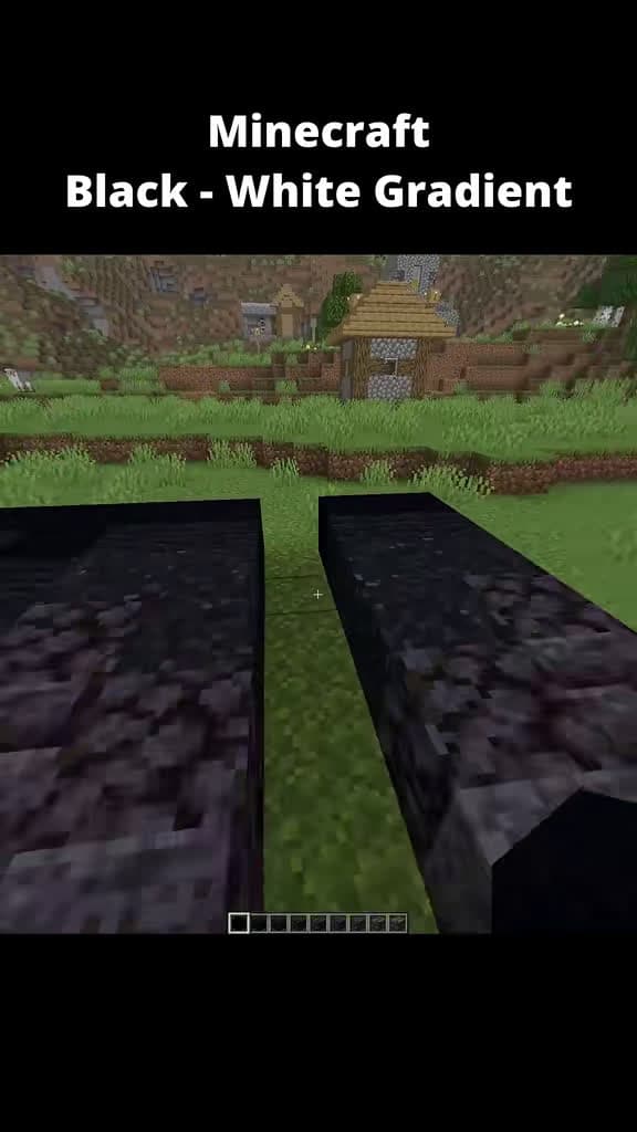cover for Watch this insane black to white Minecraft block gradient! 🎮⚪️ #Minecraft #Gaming #Satisfying #MinecraftBuilds