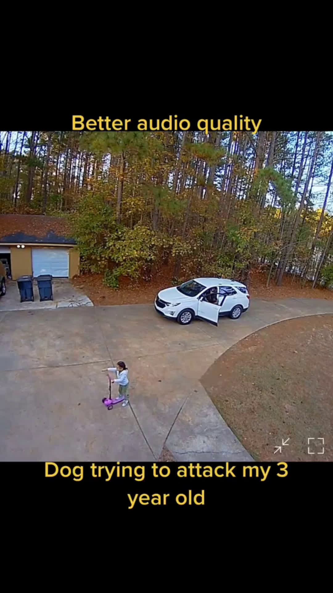 cover for Dog trying to attack 3 year old girl #bodycam #dog #dogs #scoopz #viral #camera #security 