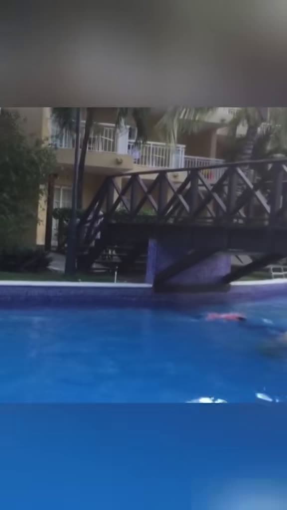cover for Hilariously Unlucky Animals Caught on Camera! 😂 #FunnyAnimals #EpicFails #AnimalComedy