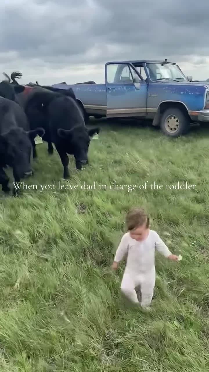 cover for When dad is left in charge of the toddler 😂😂
