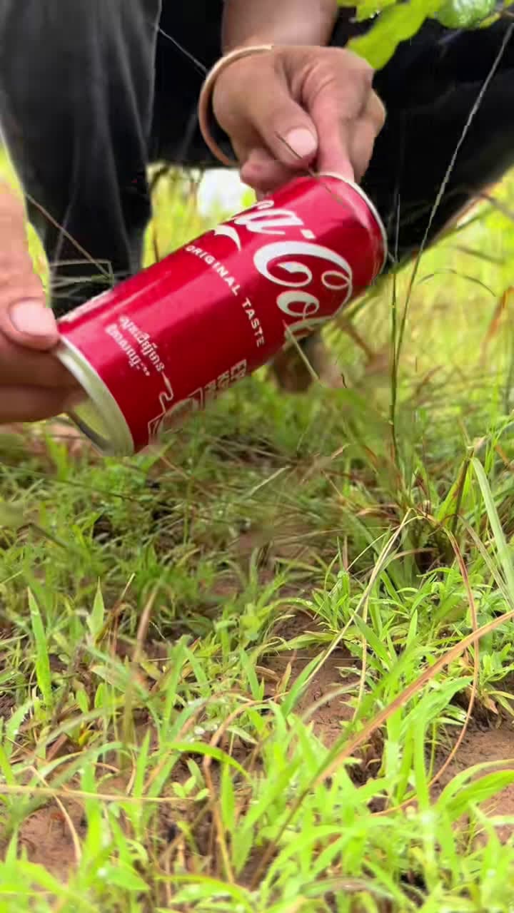 cover for ✅The Guys Show Smart Idea Survival Skills #survival #outdoors #forest