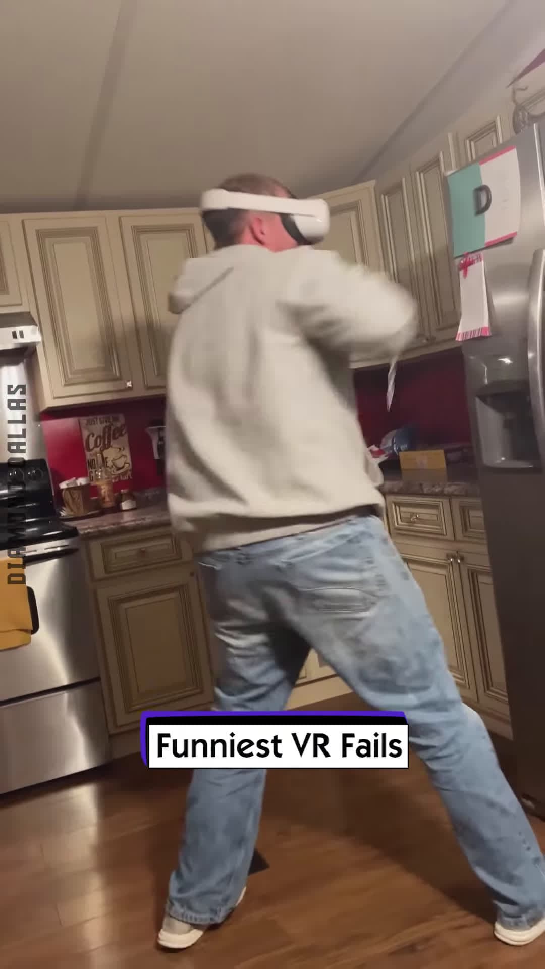 cover for Funniest VR Fails